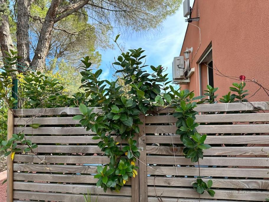 Moderne Mini Maison Lézignan-Corbières Extérieur photo
